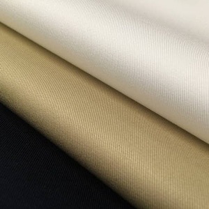 Twill Fabric (3)